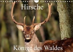 Hirsche - Könige des Waldes/Geburtstagskalender (Wandkalender 2023 DIN A4 quer)