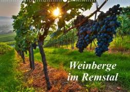 Weinberge im Remstal (Wandkalender 2023 DIN A2 quer)