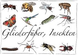 Gliederfüßer und Insekten (Wandkalender 2023 DIN A2 quer)