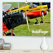 Modellflieger (Premium, hochwertiger DIN A2 Wandkalender 2023, Kunstdruck in Hochglanz)