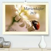 Marienkäfer / 2023 (Premium, hochwertiger DIN A2 Wandkalender 2023, Kunstdruck in Hochglanz)
