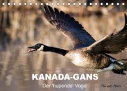 KANADA-GANS - Der 'hupende' Vogel (Tischkalender 2023 DIN A5 quer)