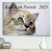 Katzen im Porträt / Geburtstagskalender (Premium, hochwertiger DIN A2 Wandkalender 2023, Kunstdruck in Hochglanz)
