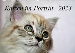 Katzen im Porträt / Geburtstagskalender (Wandkalender 2023 DIN A2 quer)