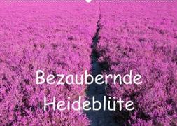 Bezaubernde Heideblüte (Wandkalender 2023 DIN A2 quer)