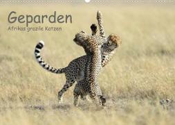 Geparden - Afrikas grazile Katzen (Wandkalender 2023 DIN A2 quer)