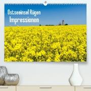 Ostseeinsel Rügen Impressionen (Premium, hochwertiger DIN A2 Wandkalender 2023, Kunstdruck in Hochglanz)