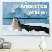 Antarctica Wildlife / UK-Version (Premium, hochwertiger DIN A2 Wandkalender 2023, Kunstdruck in Hochglanz)
