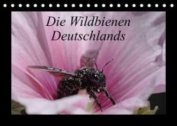 Die Wildbienen Deutschlands (Tischkalender 2023 DIN A5 quer)