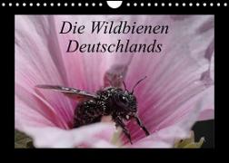 Die Wildbienen Deutschlands (Wandkalender 2023 DIN A4 quer)