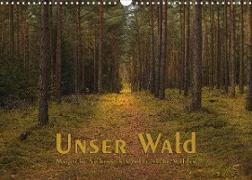 Unser Wald - Magische Sichten in norddeutsche Wälder (Wandkalender 2023 DIN A3 quer)