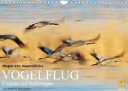 Magie des Augenblicks - Vogelflug - Eleganz auf Schwingen (Wandkalender 2023 DIN A4 quer)