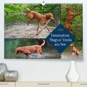 Faszination Magyar Vizsla am See (Premium, hochwertiger DIN A2 Wandkalender 2023, Kunstdruck in Hochglanz)