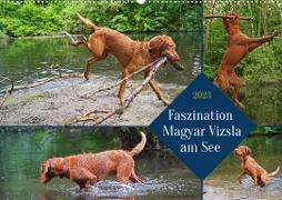 Faszination Magyar Vizsla am See (Wandkalender 2023 DIN A2 quer)