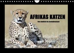 Afrikas Katzen (Wandkalender 2023 DIN A4 quer)