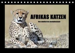 Afrikas Katzen (Tischkalender 2023 DIN A5 quer)