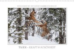Emotionale Momente: Tiger - Kraft & Schönheit. (Wandkalender 2023 DIN A3 quer)