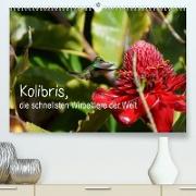 Kolibris, die schnellsten Wirbeltiere der Welt (Premium, hochwertiger DIN A2 Wandkalender 2023, Kunstdruck in Hochglanz)