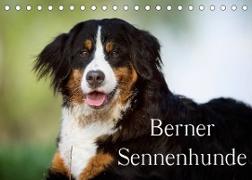 Berner Sennenhunde (Tischkalender 2023 DIN A5 quer)