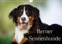 Berner Sennenhunde (Wandkalender 2023 DIN A4 quer)