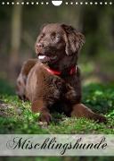 Mischlingshunde (Wandkalender 2023 DIN A4 hoch)