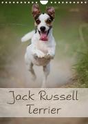 Jack Russell Terrier (Wandkalender 2023 DIN A4 hoch)