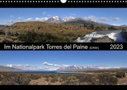 Im Nationalpark Torres del Paine (Chile) (Wandkalender 2023 DIN A3 quer)