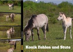 Mutterliebe - Konik Fohlen und Stute (Wandkalender 2023 DIN A2 quer)