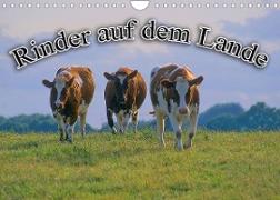 Rinder auf dem Lande (Wandkalender 2023 DIN A4 quer)