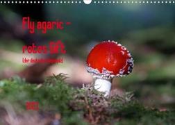 Fly agaric - rotes Gift (Wandkalender 2023 DIN A3 quer)