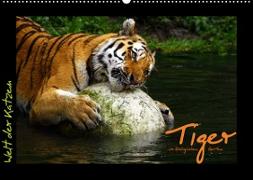 Welt der Katzen - Tiger (Wandkalender 2023 DIN A2 quer)