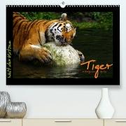 Welt der Katzen - Tiger (Premium, hochwertiger DIN A2 Wandkalender 2023, Kunstdruck in Hochglanz)