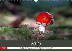 Waldpilz-Impressionen (Wandkalender 2023 DIN A3 quer)