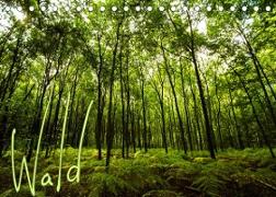 Wald (Tischkalender 2023 DIN A5 quer)