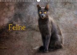 Feline (Wandkalender 2023 DIN A3 quer)