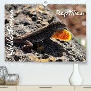 Wilde Fauna - Reptilien (Premium, hochwertiger DIN A2 Wandkalender 2023, Kunstdruck in Hochglanz)