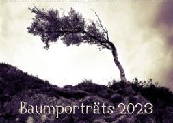 Baumporträts 2023 (Wandkalender 2023 DIN A2 quer)