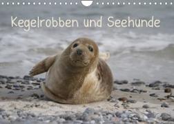 Kegelrobben und Seehunde (Wandkalender 2023 DIN A4 quer)