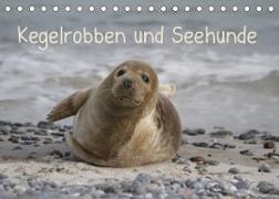 Kegelrobben und Seehunde (Tischkalender 2023 DIN A5 quer)