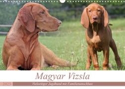 Magyar Vizsla - Vielseitiger Jagdhund mit Familienanschluss (Wandkalender 2023 DIN A3 quer)