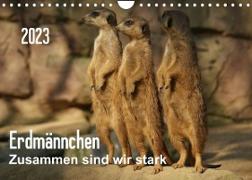 Erdmännchen ¿ Zusammen sind wir stark / CH-Version (Wandkalender 2023 DIN A4 quer)