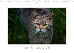 Emotionale Momente: Die Wildkatze. (Wandkalender 2023 DIN A4 quer)