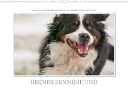 Emotionale Momente: Berner Sennenhund. (Wandkalender 2023 DIN A3 quer)