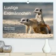Lustige Erdmännchen (Premium, hochwertiger DIN A2 Wandkalender 2023, Kunstdruck in Hochglanz)