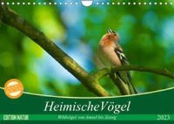Heimische Vögel (Wandkalender 2023 DIN A4 quer)