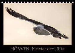 Möwen - Meister der Lüfte (Tischkalender 2023 DIN A5 quer)