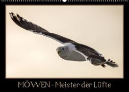 Möwen - Meister der Lüfte (Wandkalender 2023 DIN A2 quer)