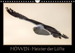 Möwen - Meister der Lüfte (Wandkalender 2023 DIN A4 quer)