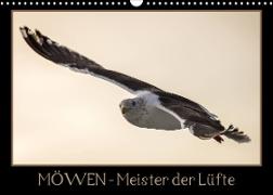 Möwen - Meister der Lüfte (Wandkalender 2023 DIN A3 quer)