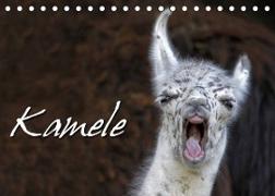 Kamele (Tischkalender 2023 DIN A5 quer)